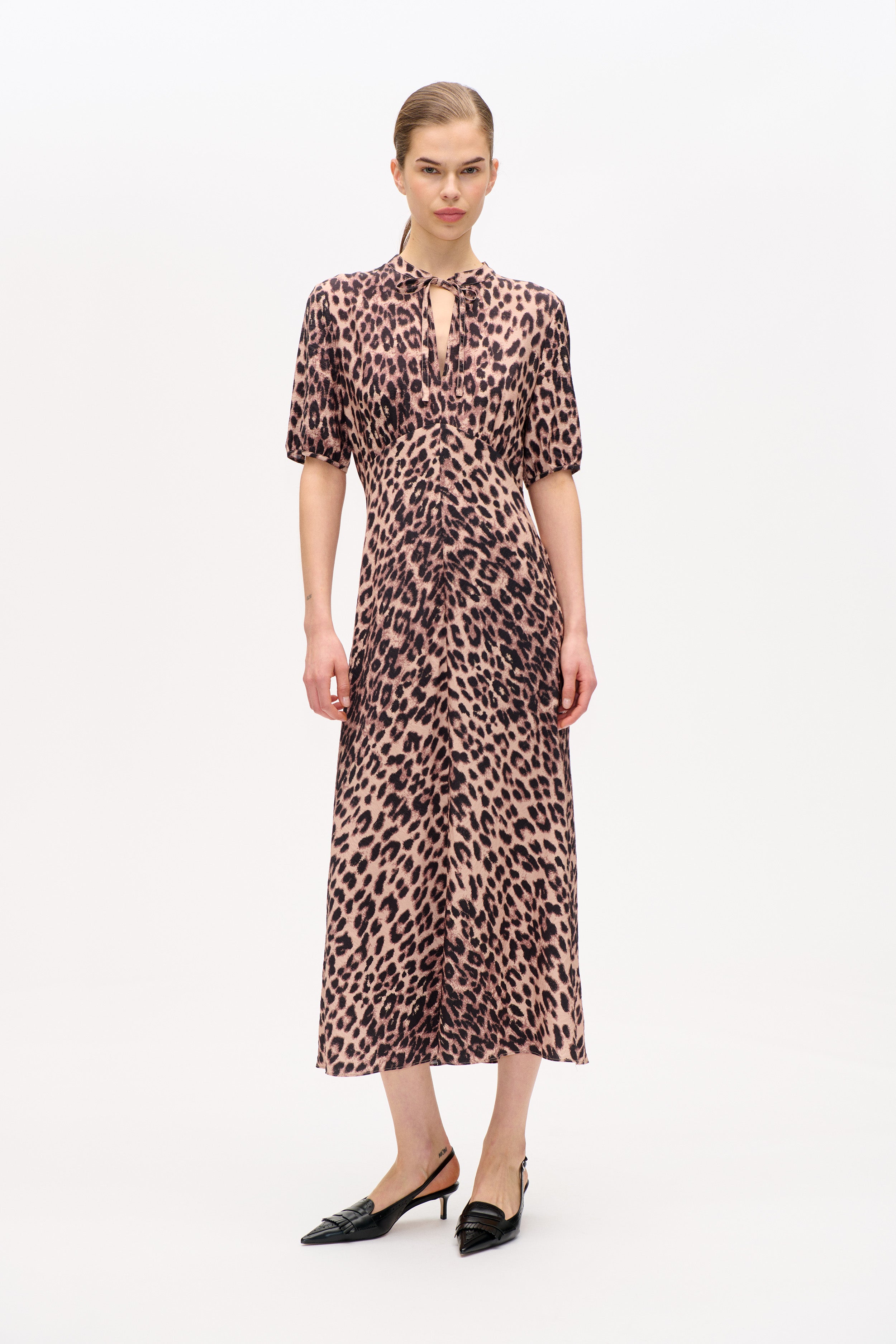 24162_1366_1.jpg media file