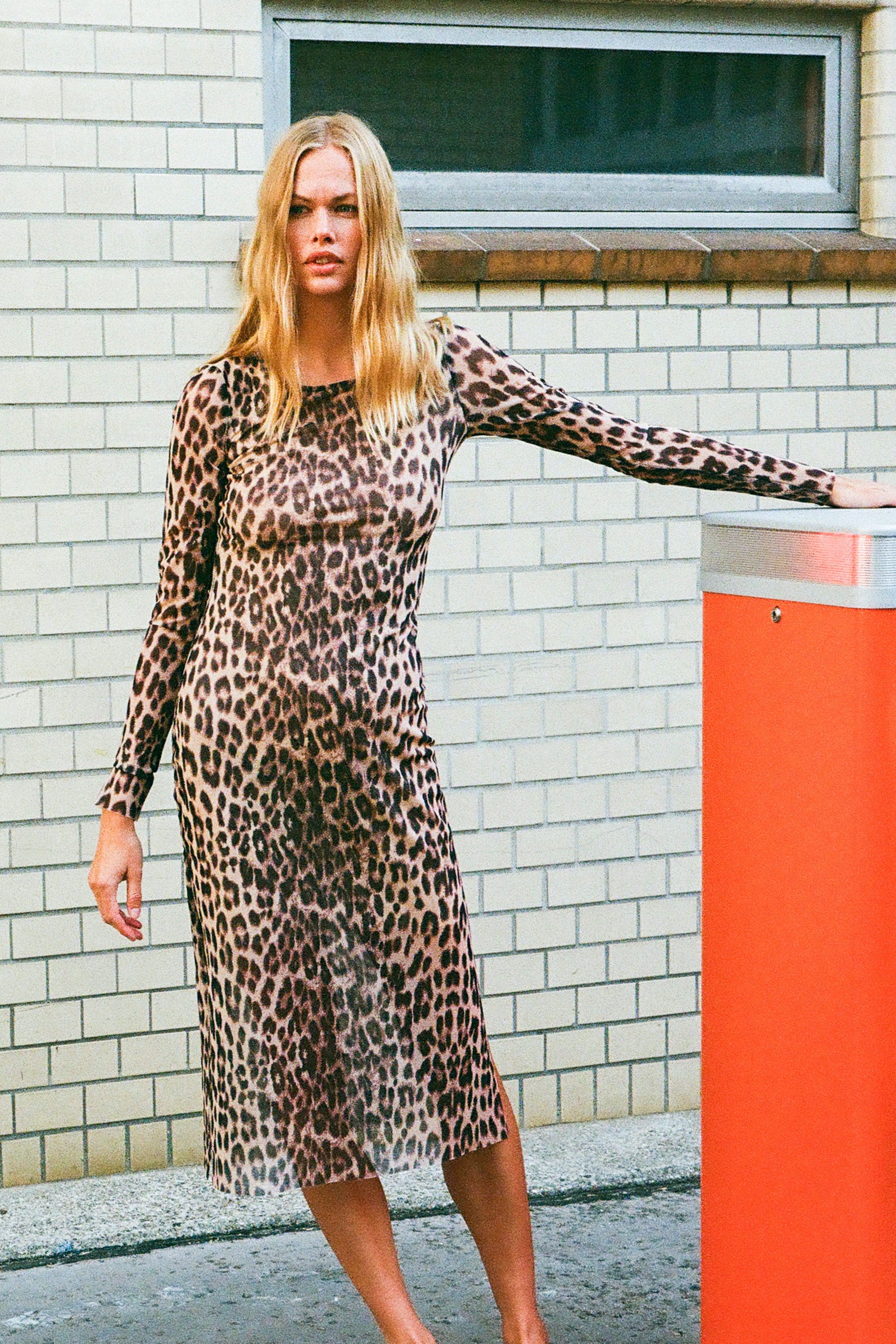 24343_1366_CAMPAIGN.jpg media file