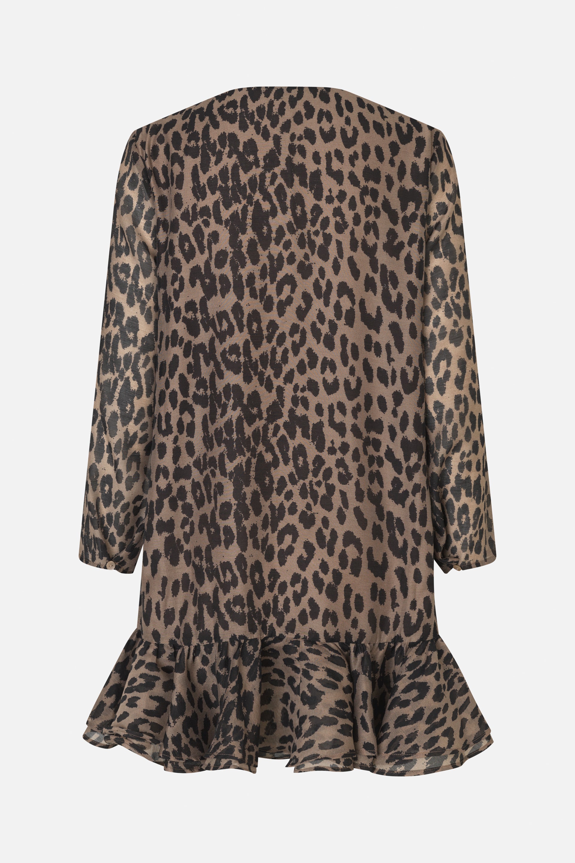 24392_8209_5.jpg media file