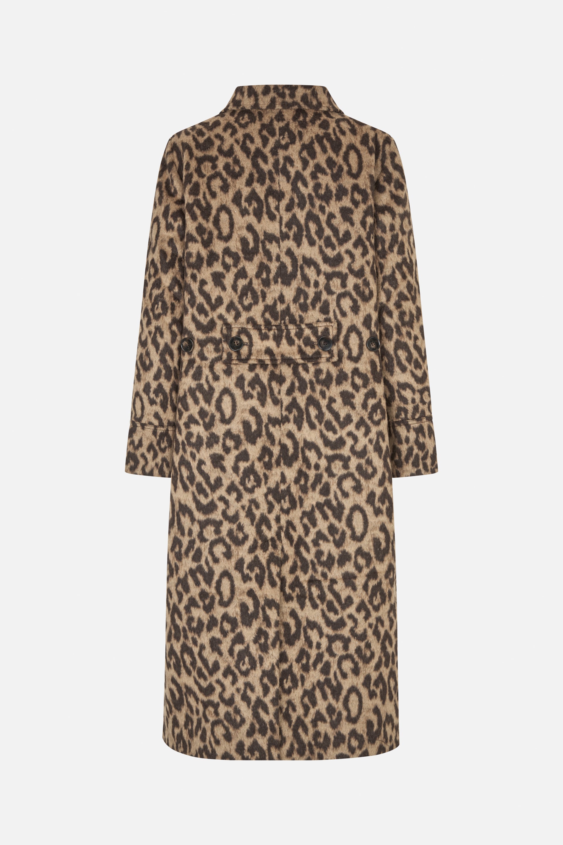 24425_8210_5.jpg media file