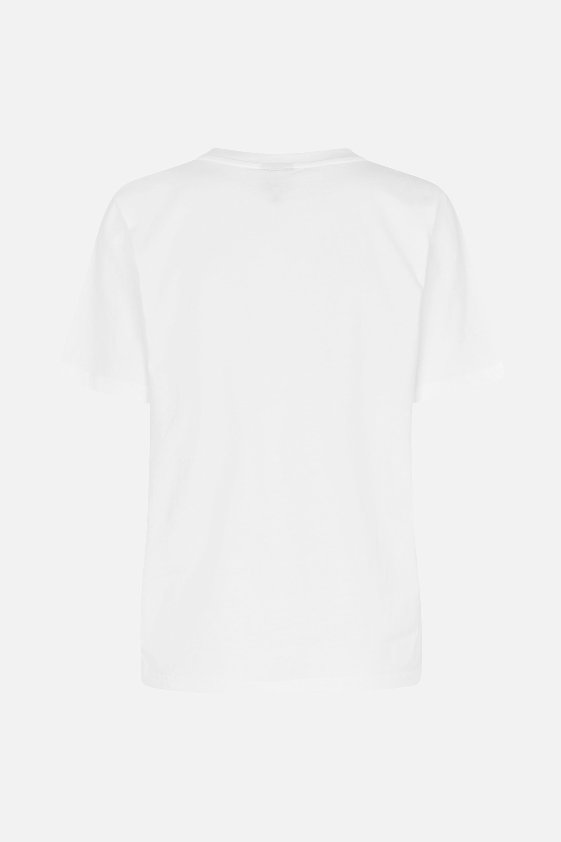 24593_9185_5.jpg media file