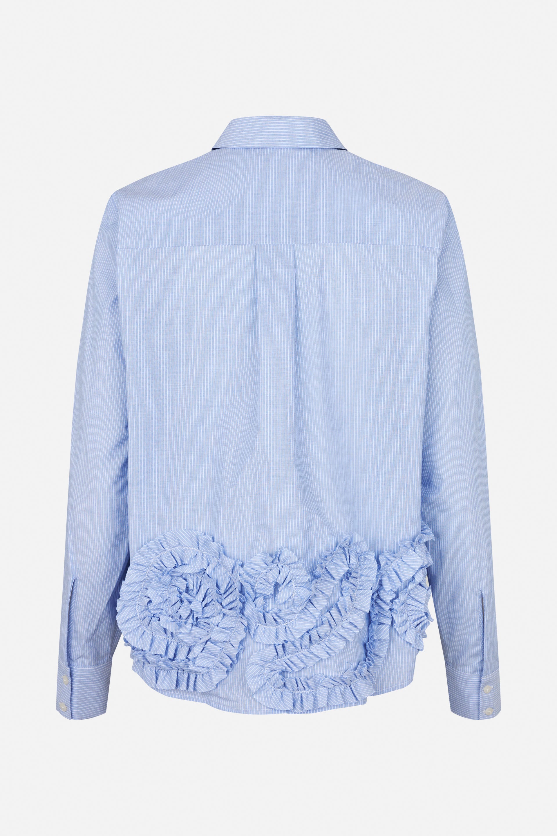 24721_7845_5.jpg media file