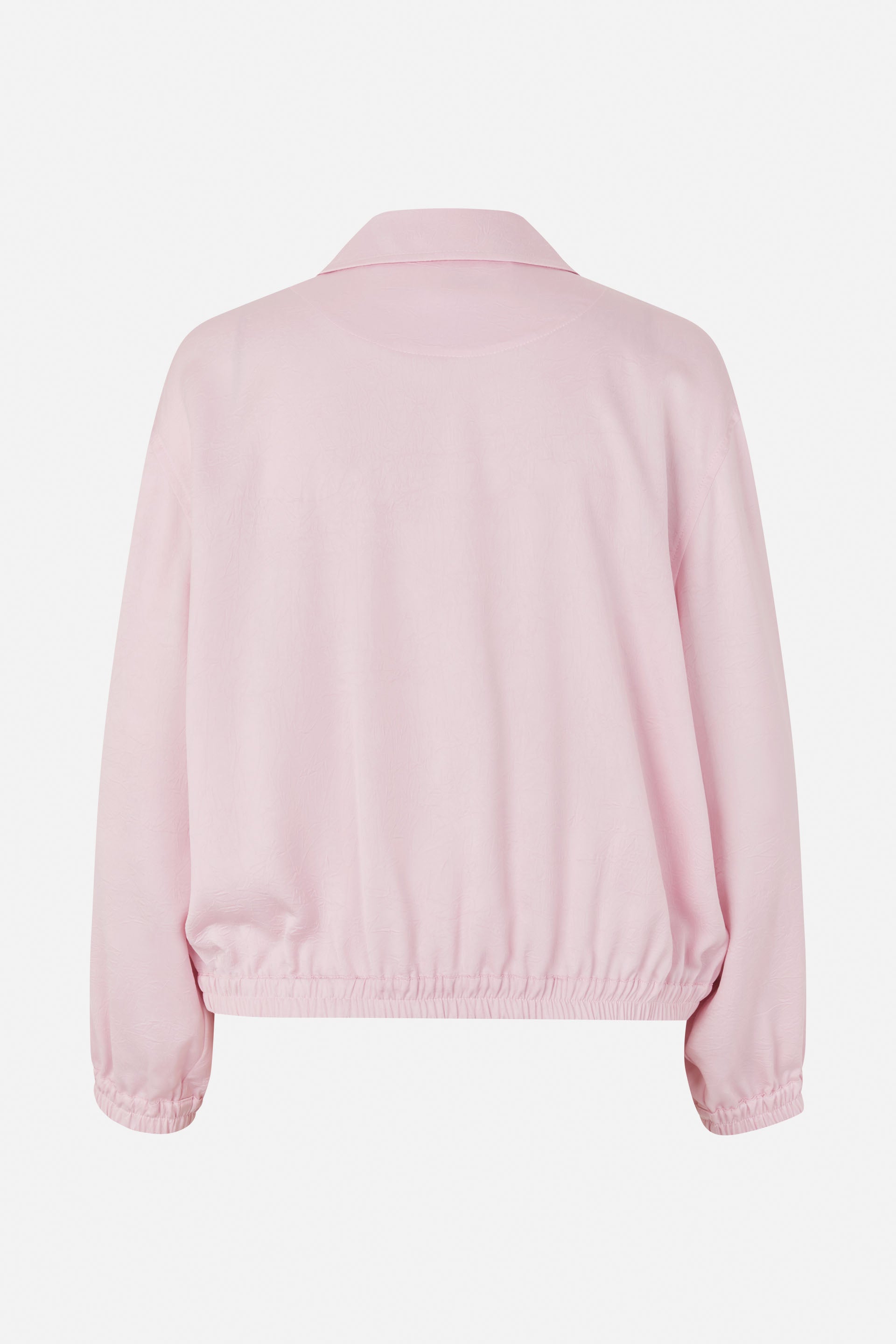 24845_1356_5.jpg media file