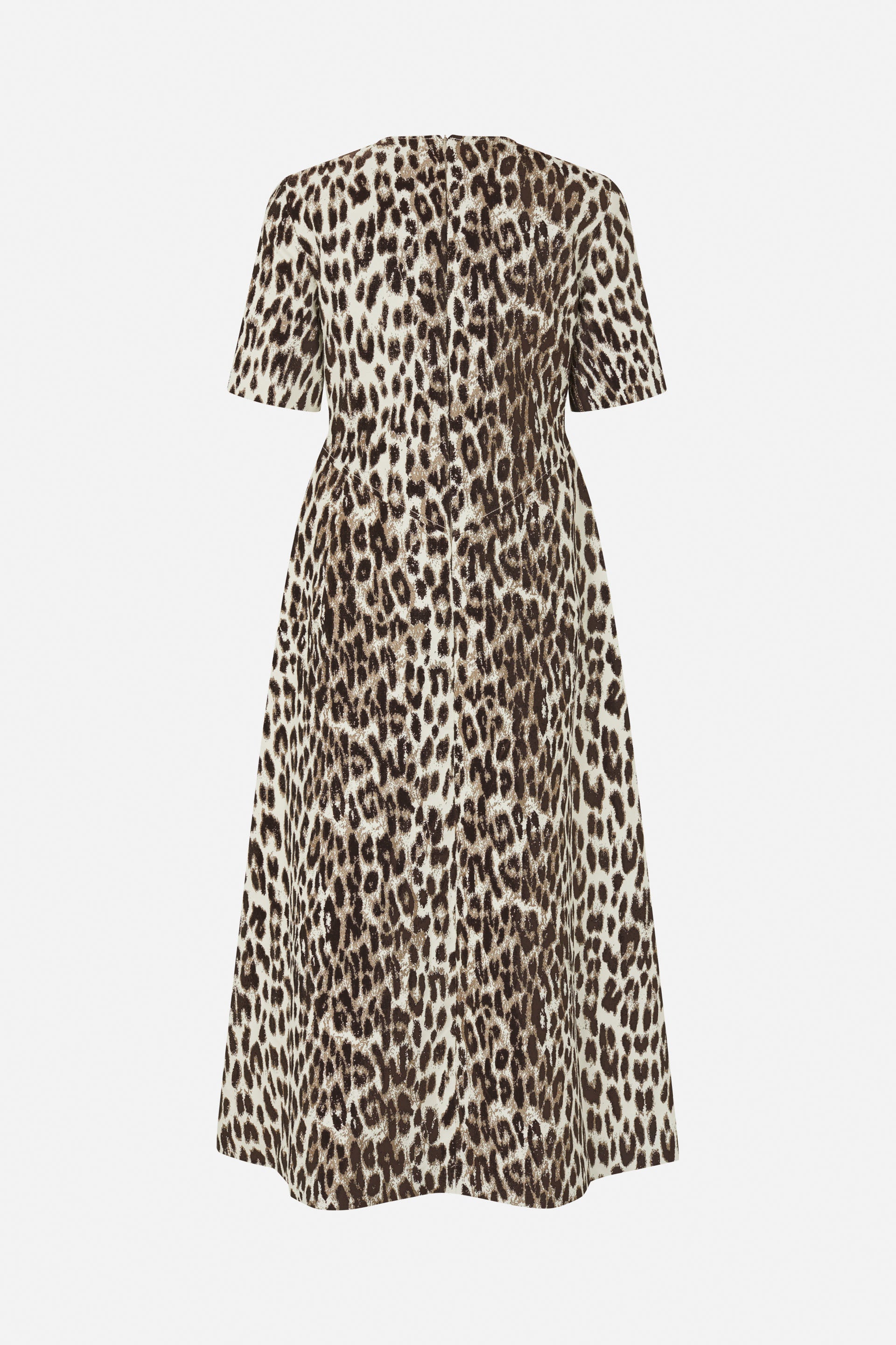 24850_1417_5.jpg media file