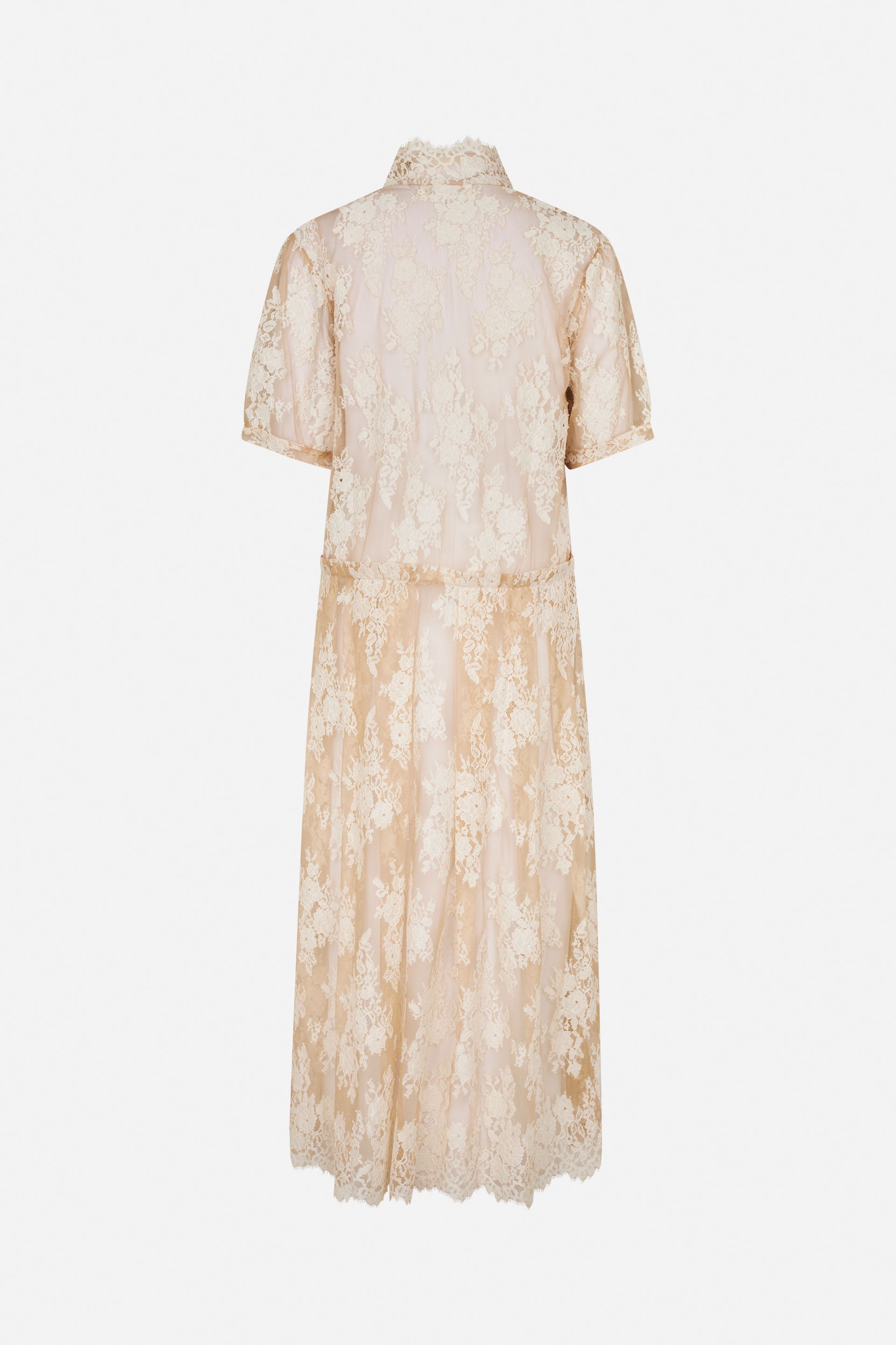 24857_8222_5.jpg media file