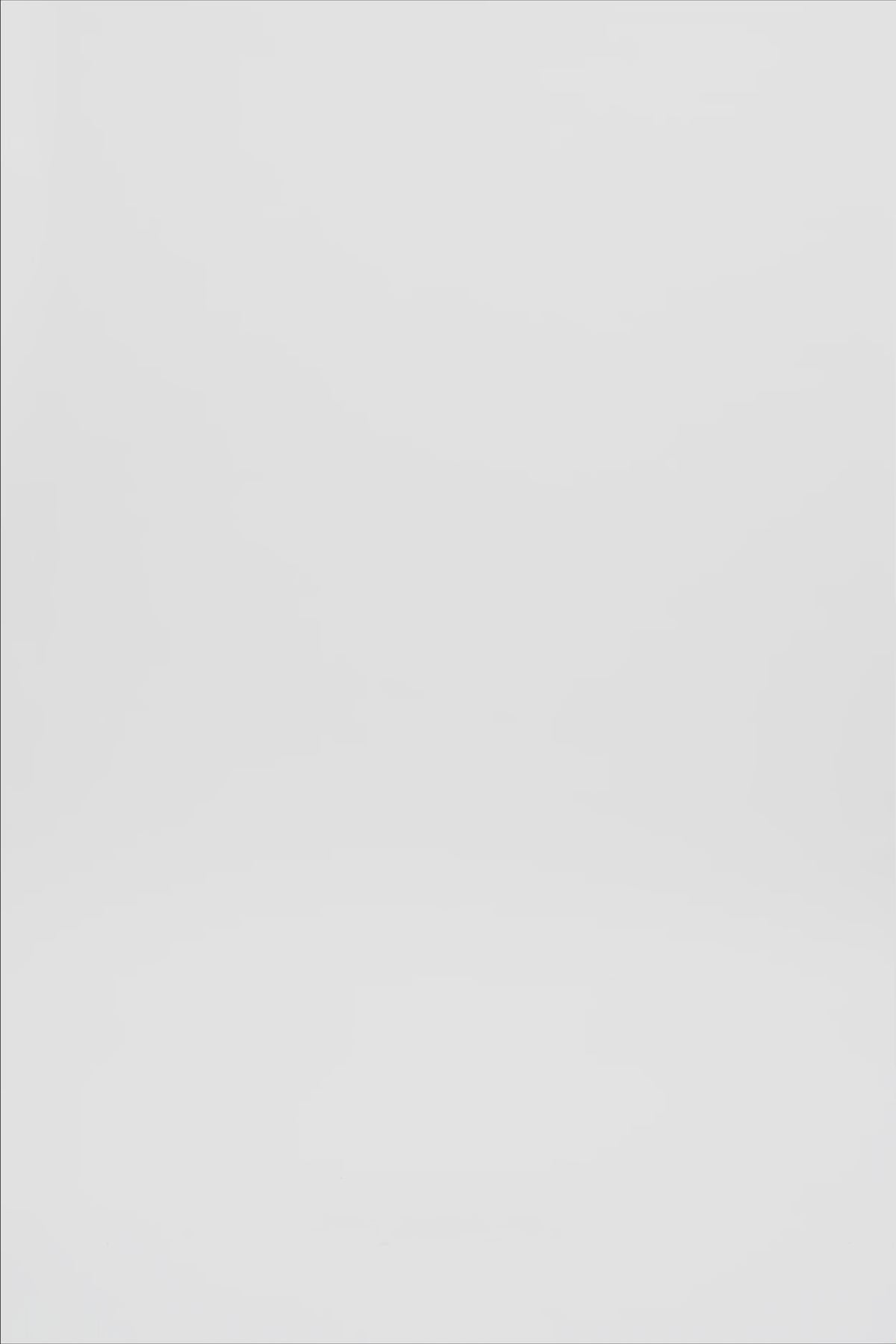 25074_8080_3.mov media file