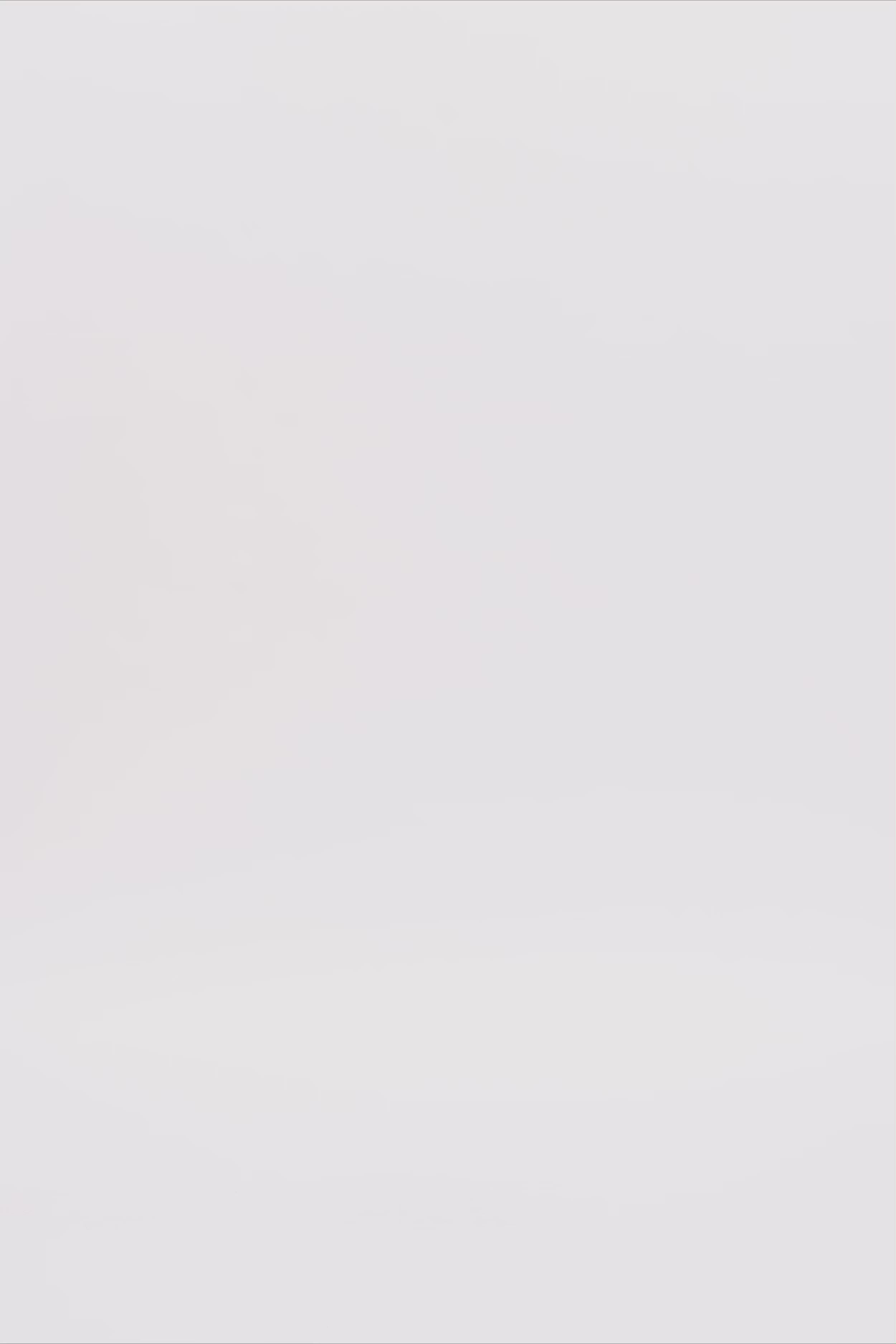 24874_8165_3.mov media file