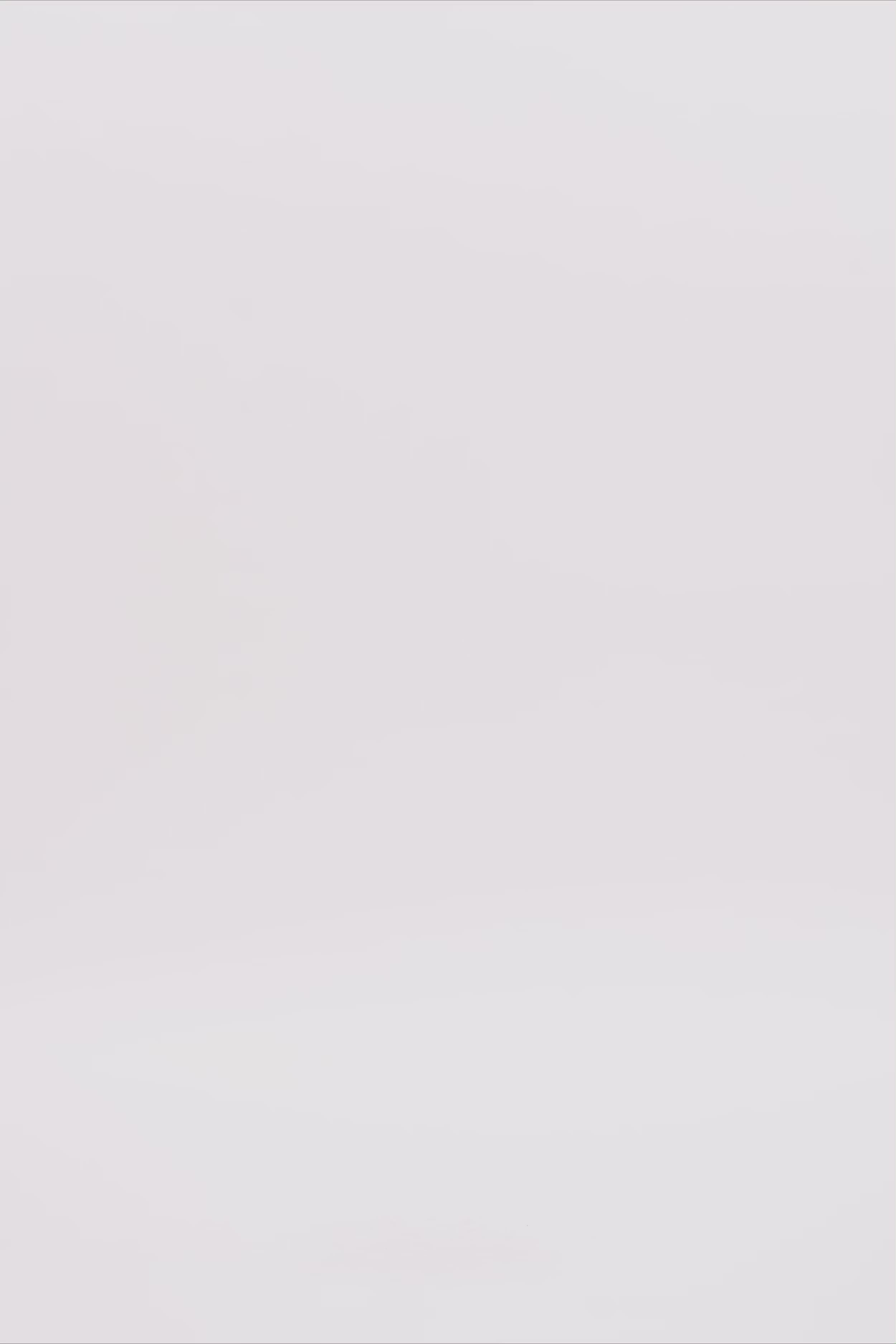 24814_9999_3.mov media file