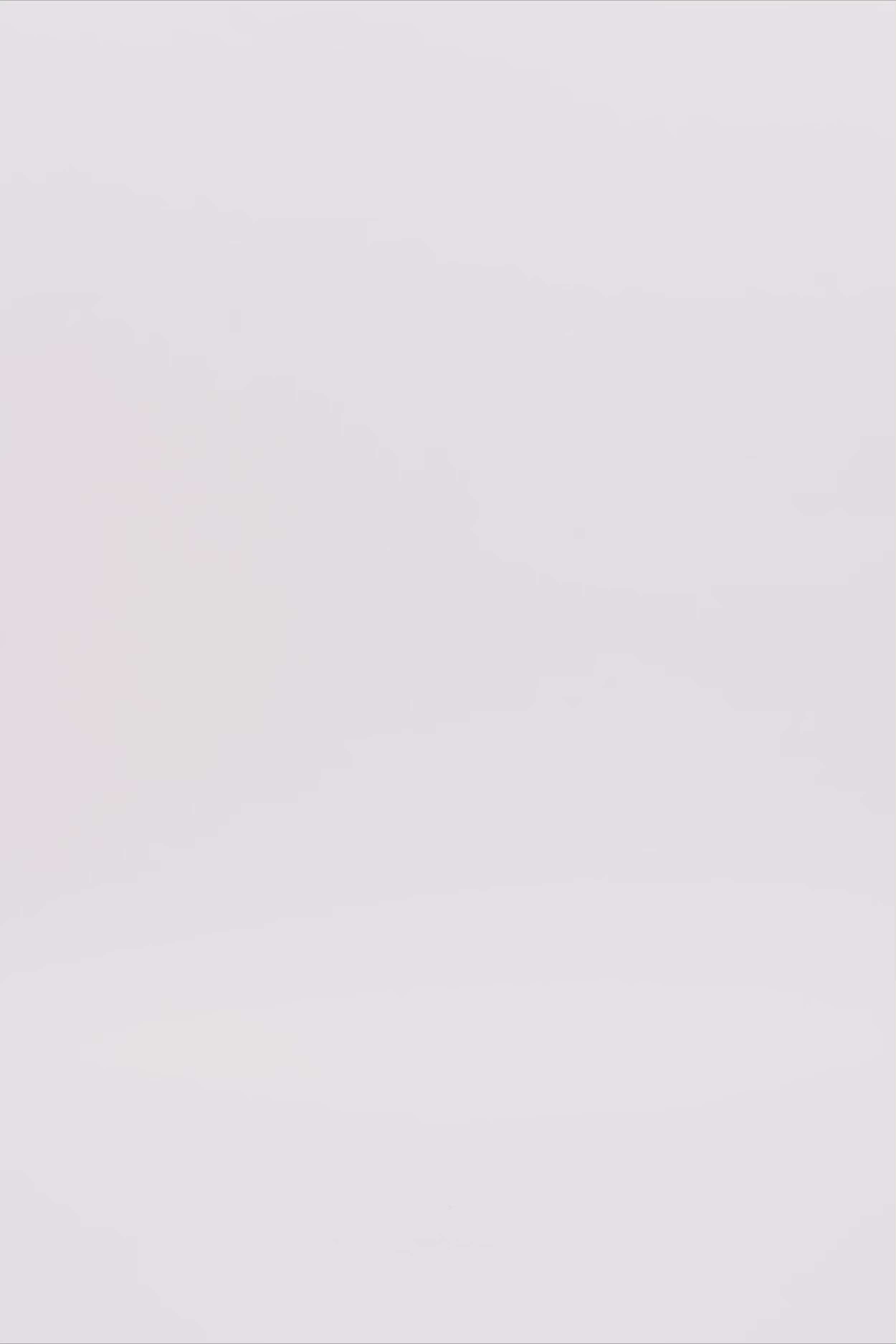 24813_9999_3.mov media file