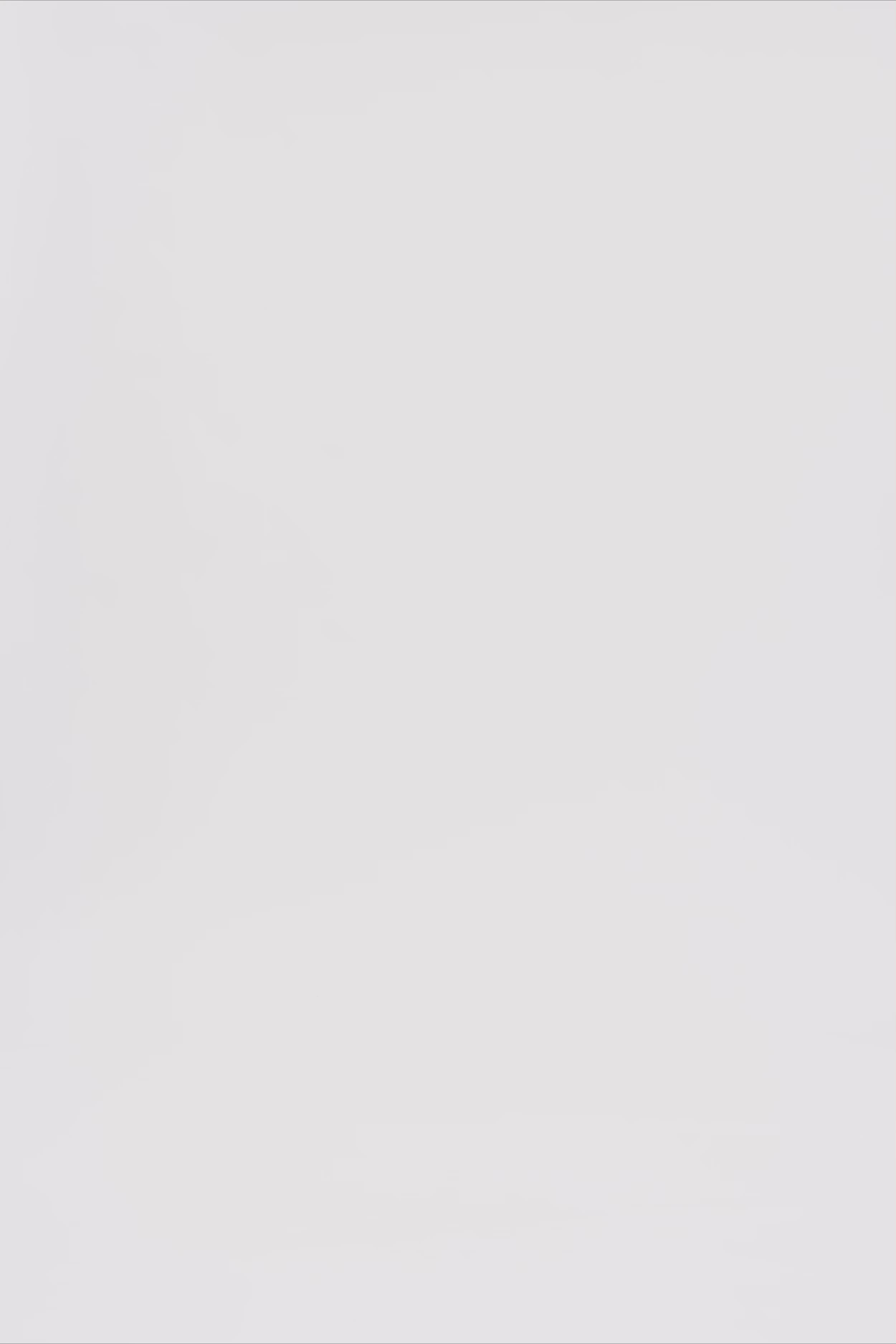 24618_9999_3.mov media file