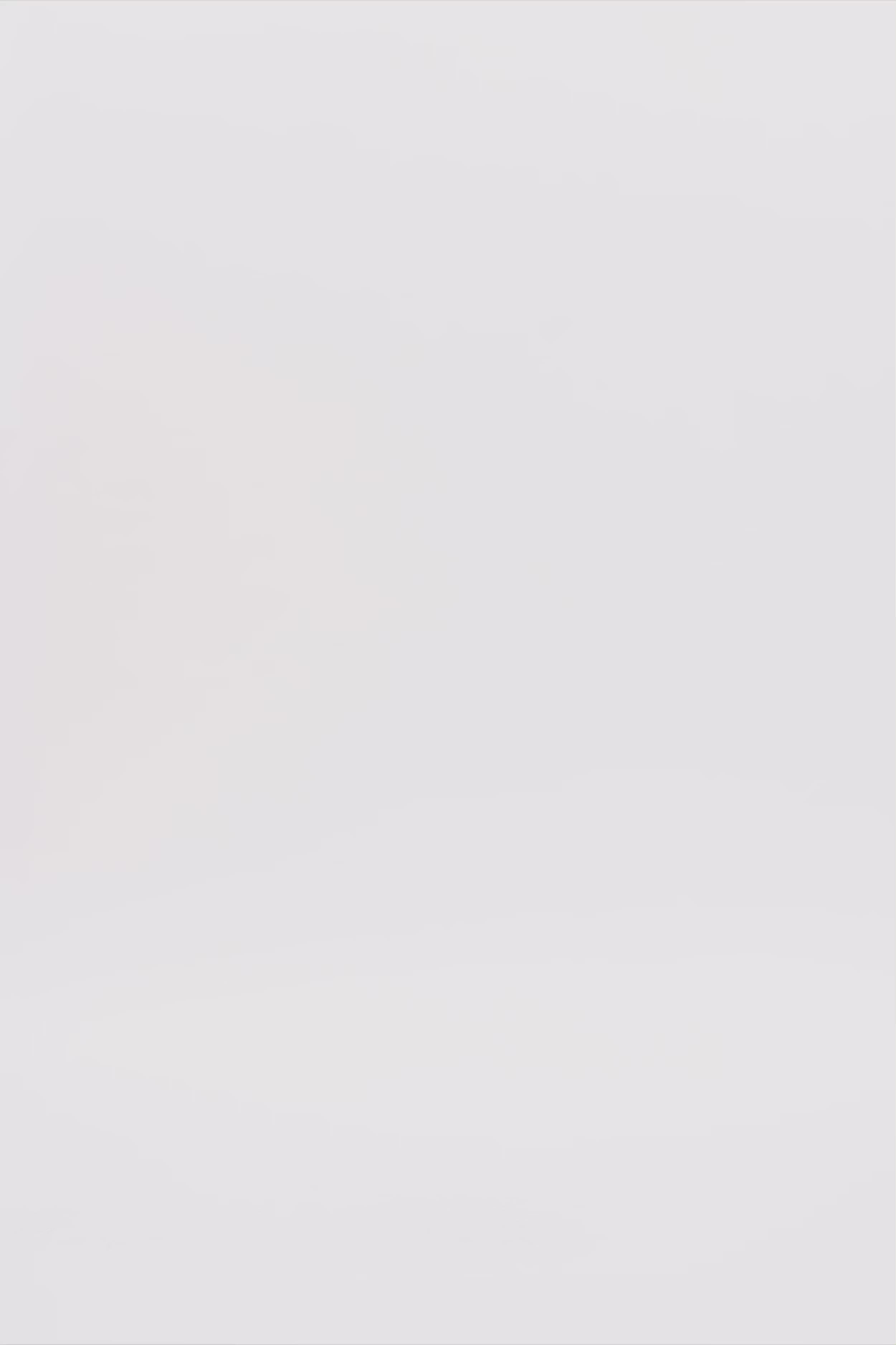 24780_3162_3.mov media file