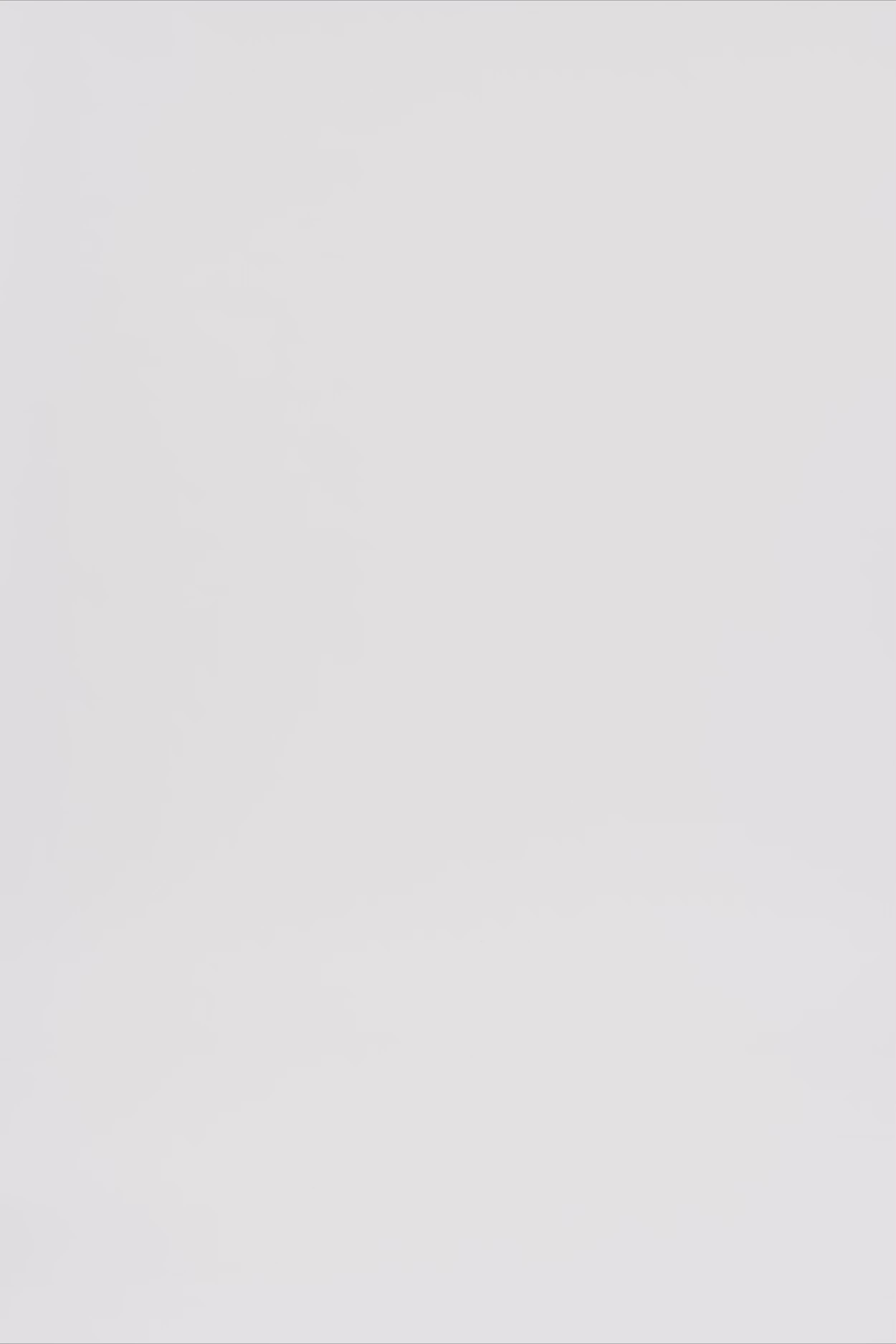 24616_9999_3.mov media file