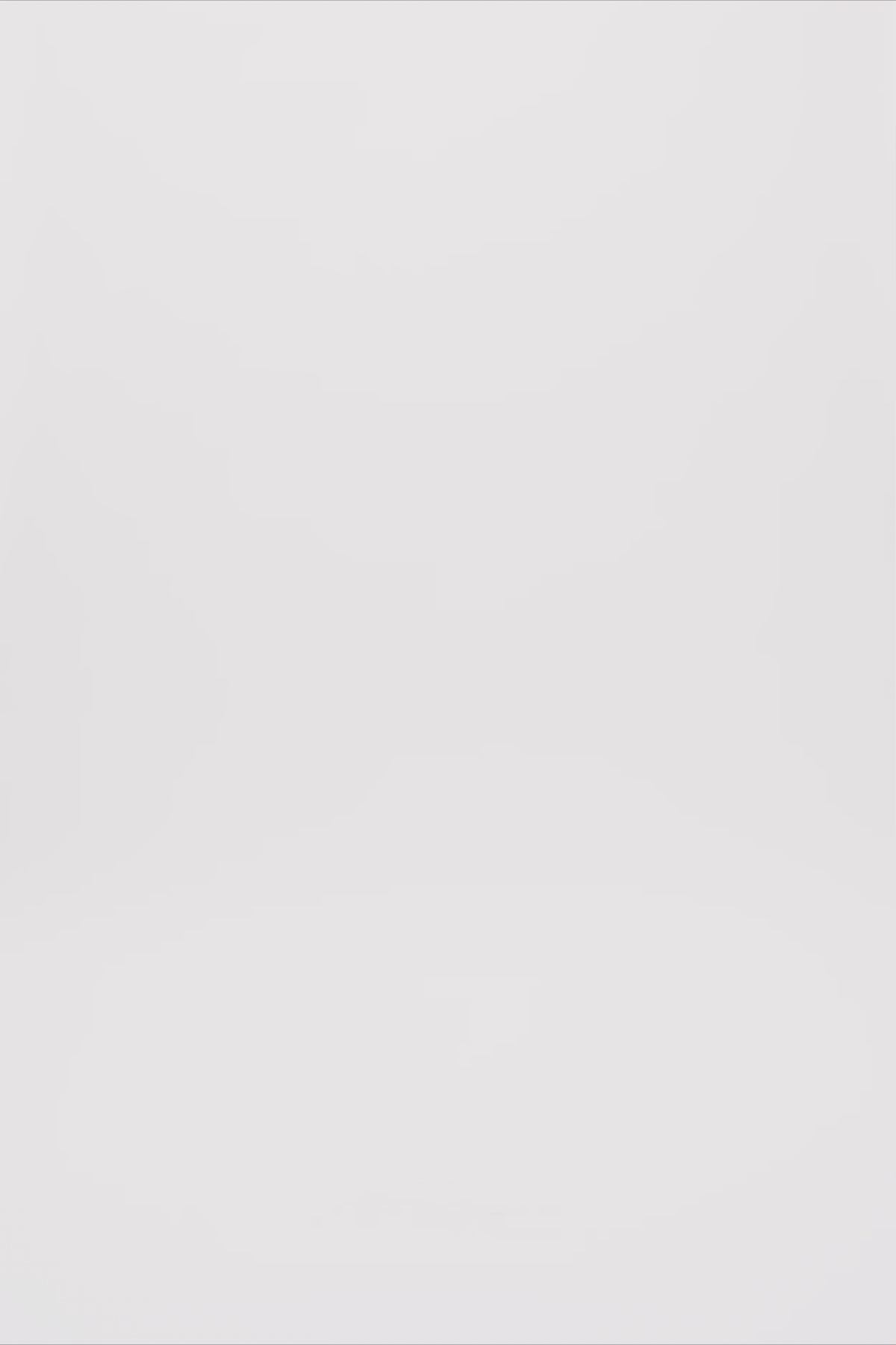 24974_1433_3.mov media file